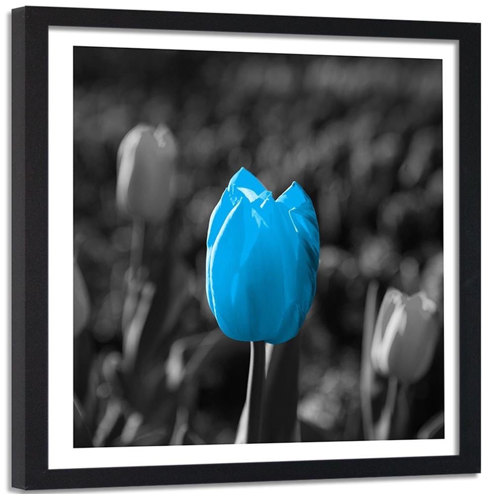 Glezna melnā rāmī - Blue Tulip In Gray Home Trends