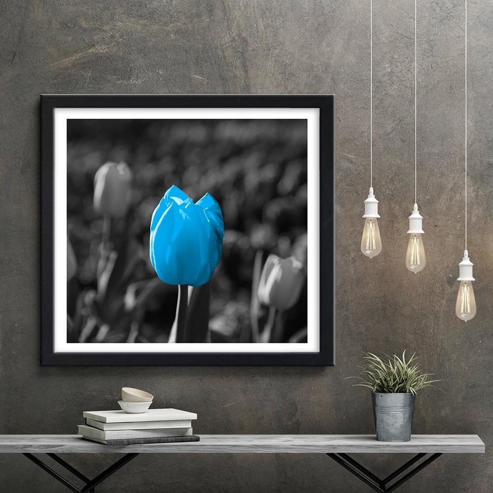 Glezna melnā rāmī - Blue Tulip In Gray Home Trends