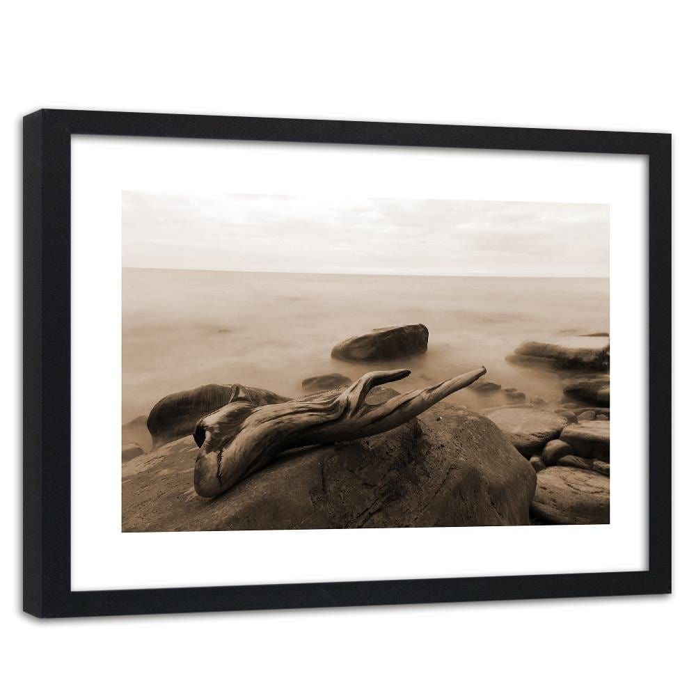Glezna melnā rāmī - Branch On The Stone 1 Home Trends