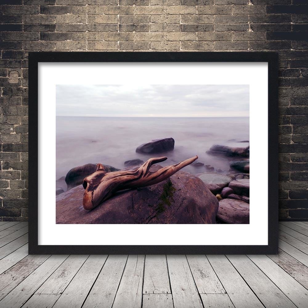 Glezna melnā rāmī - Branch On The Stone Home Trends