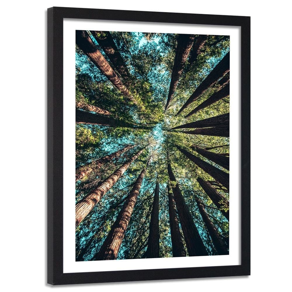 Glezna melnā rāmī - Branches Of Tall Trees Home Trends
