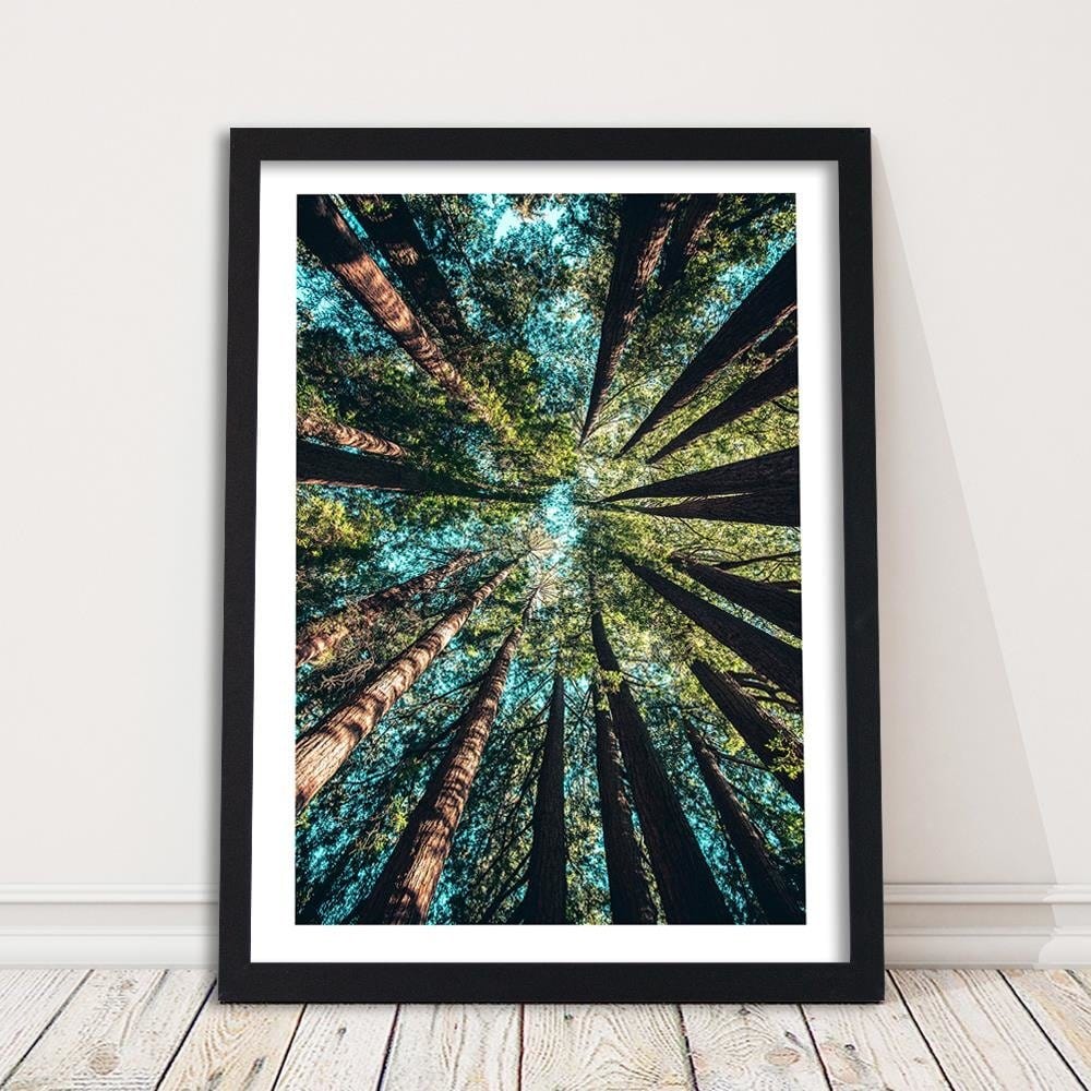 Glezna melnā rāmī - Branches Of Tall Trees Home Trends