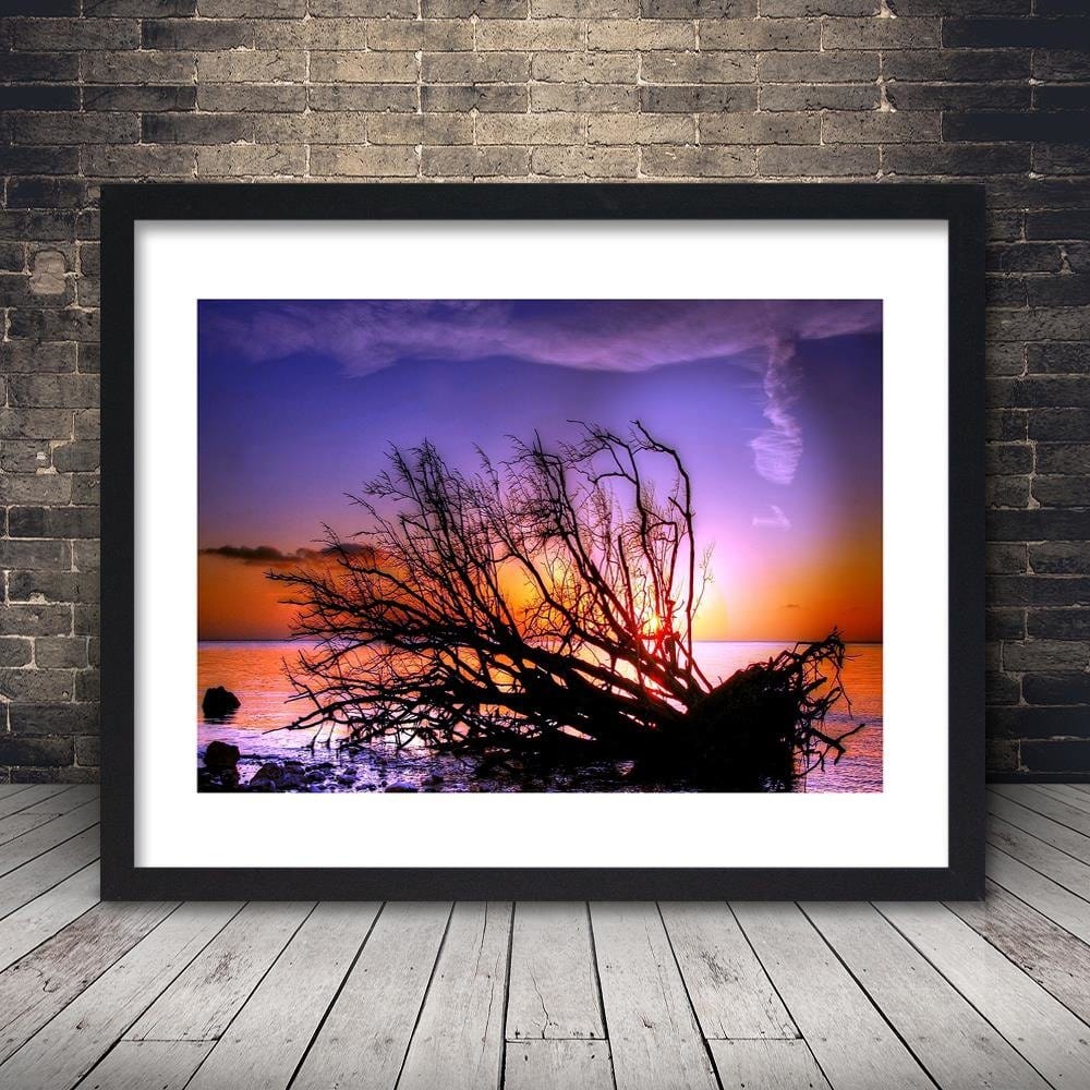 Glezna melnā rāmī - Broken Tree In The Sea Home Trends