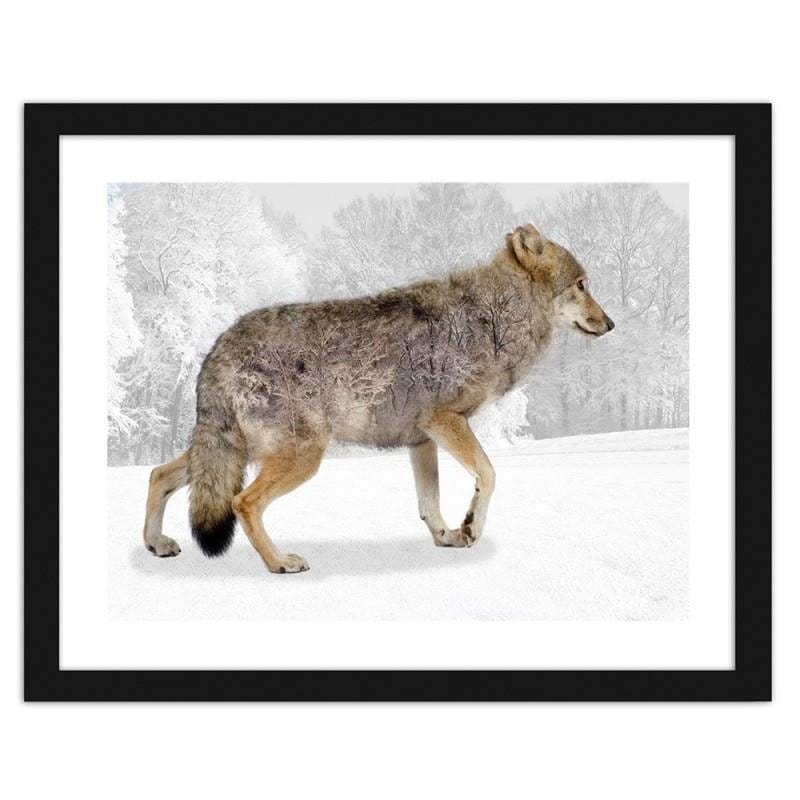 Glezna melnā rāmī - Brown wolf Home Trends