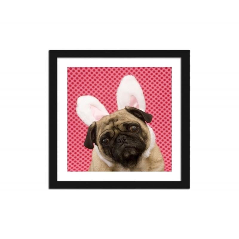 Glezna melnā rāmī - Bunny dog little photo - hidden Home Trends