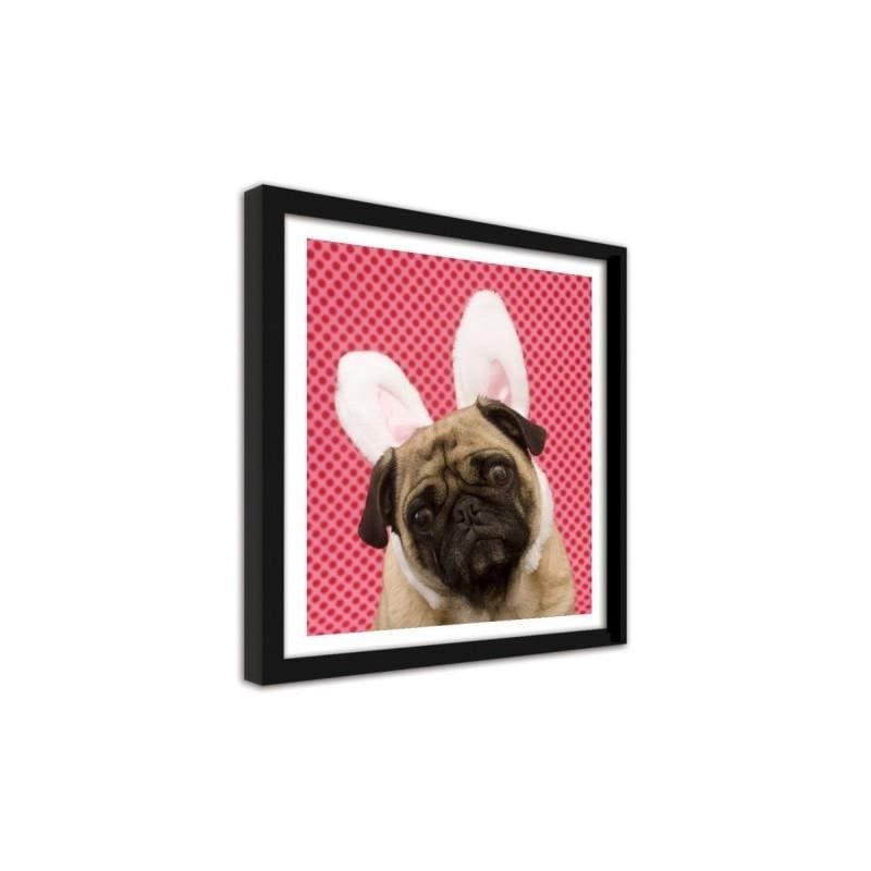 Glezna melnā rāmī - Bunny dog little photo - hidden Home Trends