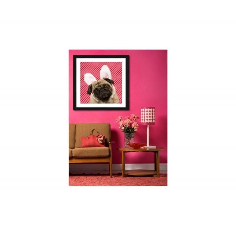 Glezna melnā rāmī - Bunny dog little photo - hidden  Home Trends