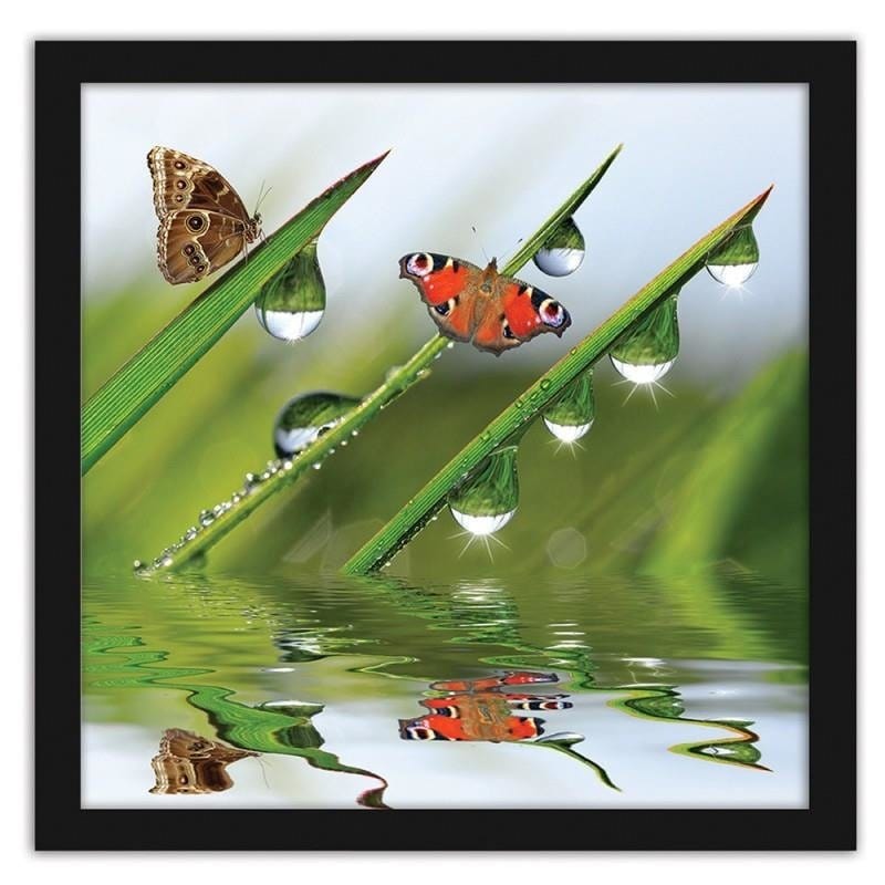 Glezna melnā rāmī - Butterflies on the peeled grass Home Trends