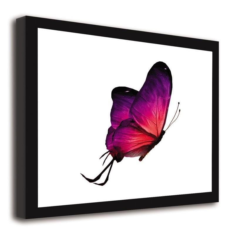 Glezna melnā rāmī - Butterfly 2 Home Trends