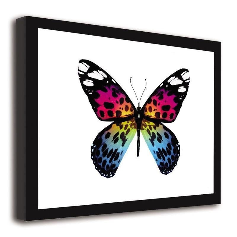 Glezna melnā rāmī - Butterfly 3 Home Trends