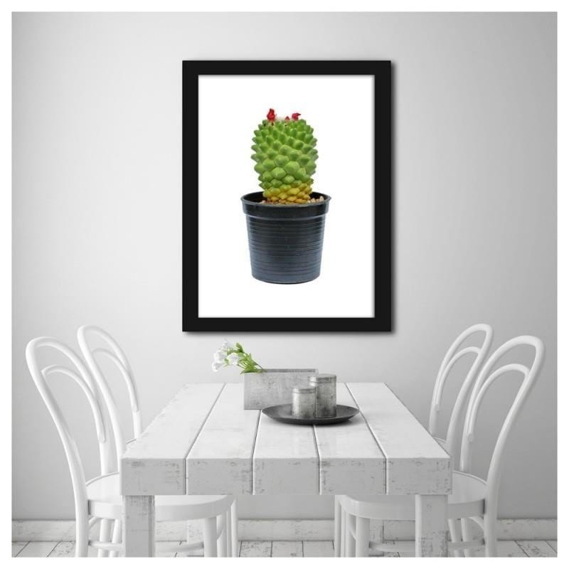 Glezna melnā rāmī - Cactus on white background Home Trends