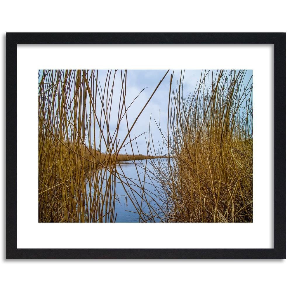 Glezna melnā rāmī - Cane On The Lake Home Trends