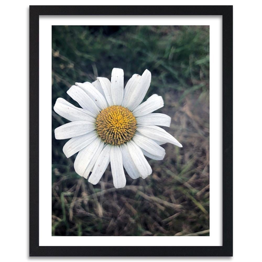 Glezna melnā rāmī - Chamomile Home Trends