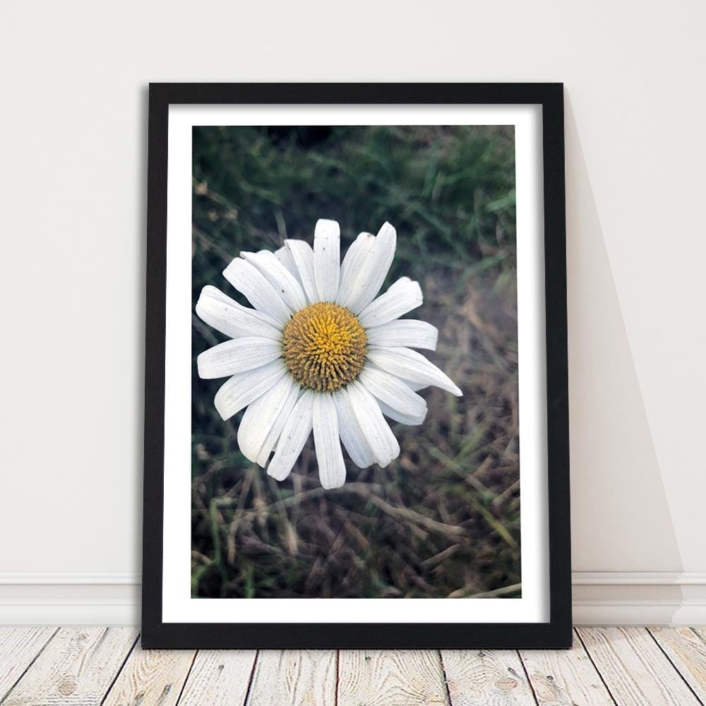 Glezna melnā rāmī - Chamomile Home Trends