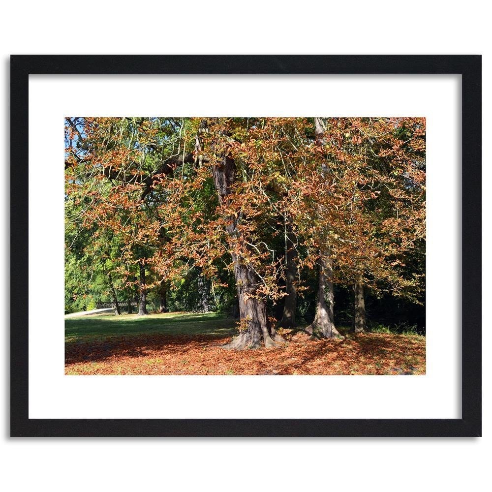 Glezna melnā rāmī - Chestnut Trees In Autumn Home Trends