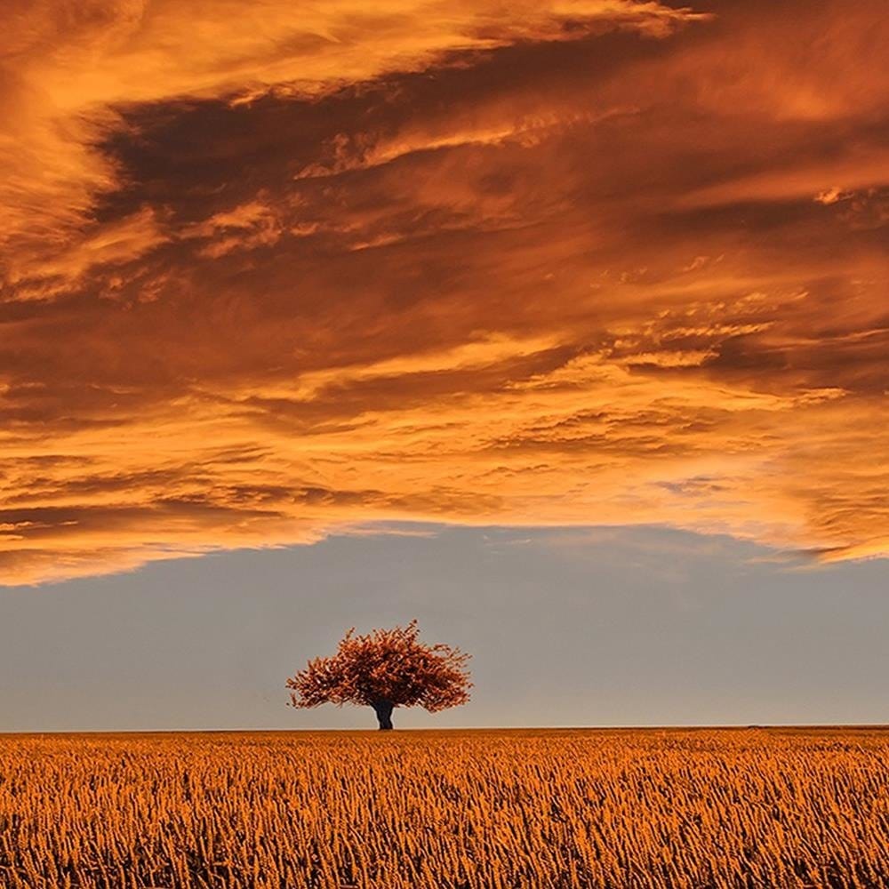 Glezna melnā rāmī - Clouds Over The Field Home Trends