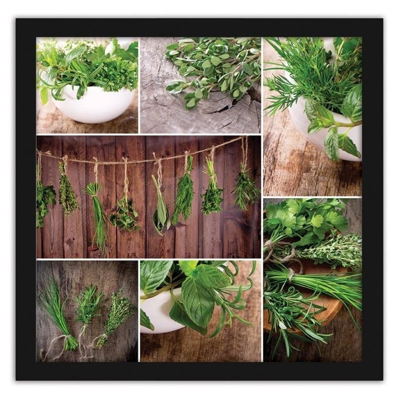 Glezna melnā rāmī - Collected herbs Home Trends