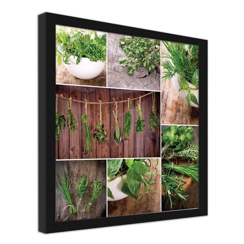 Glezna melnā rāmī - Collected herbs Home Trends