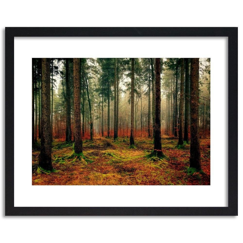 Glezna melnā rāmī - Colorful Forest Home Trends