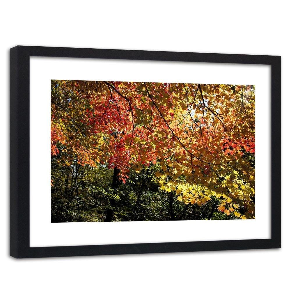 Glezna melnā rāmī - Colorful Leaves Home Trends