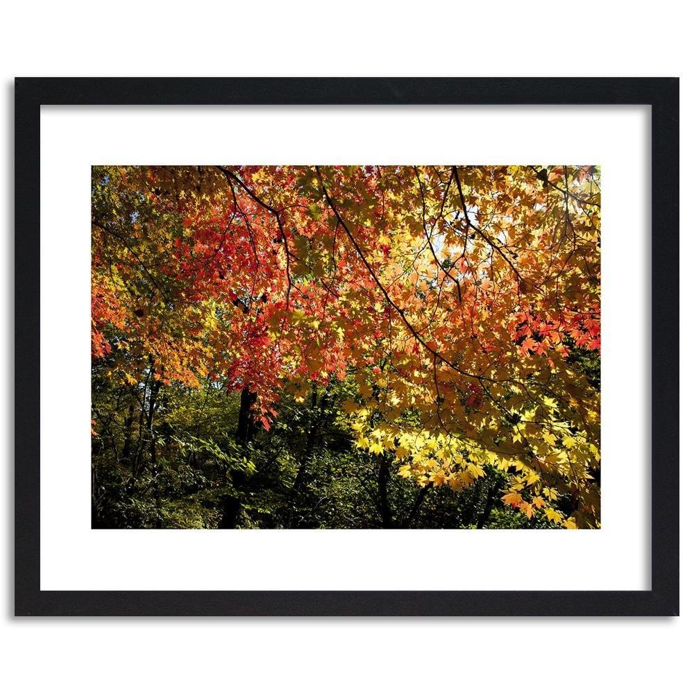 Glezna melnā rāmī - Colorful Leaves Home Trends