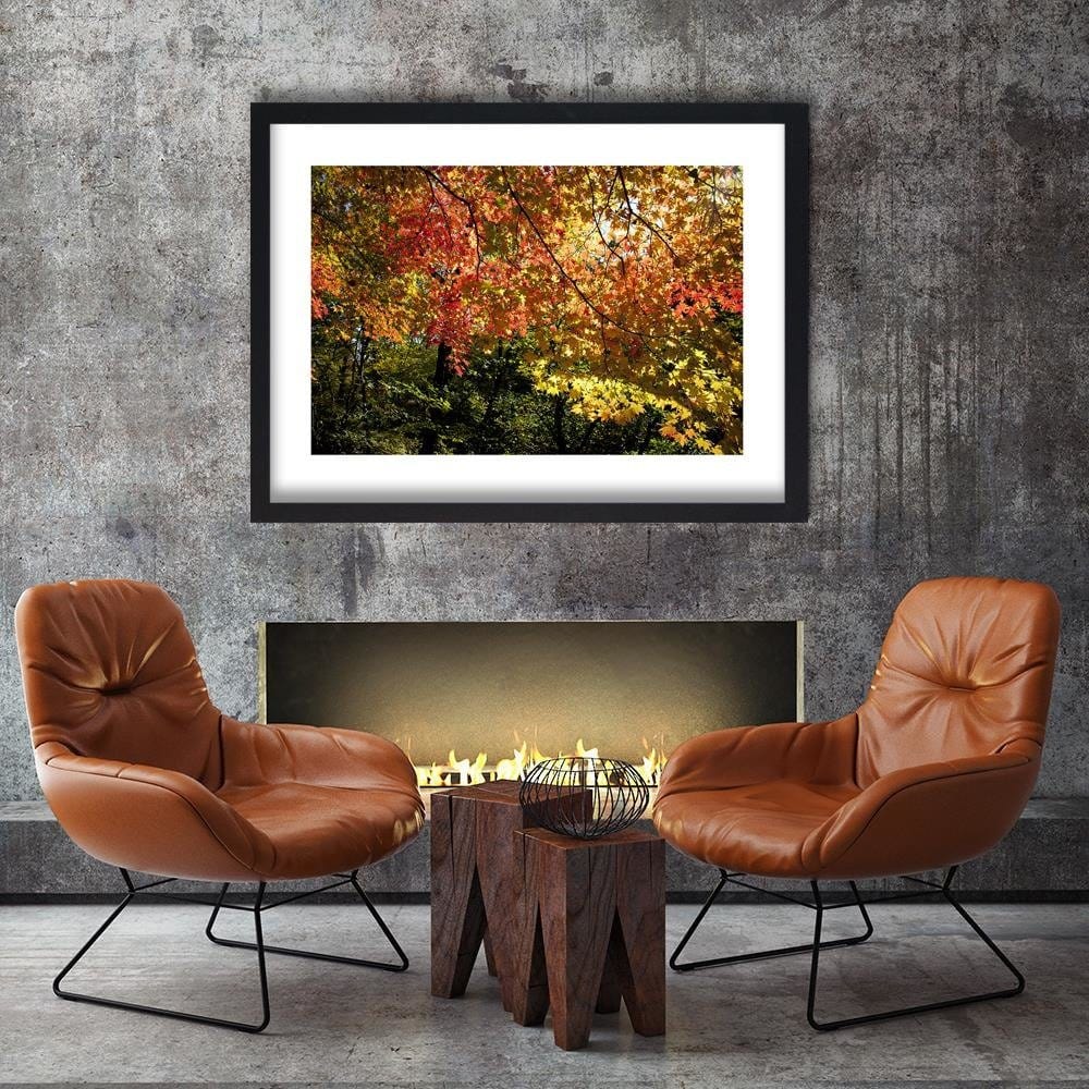 Glezna melnā rāmī - Colorful Leaves Home Trends
