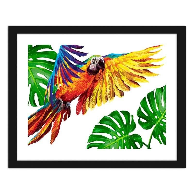 Glezna melnā rāmī - Colorful parrots Home Trends
