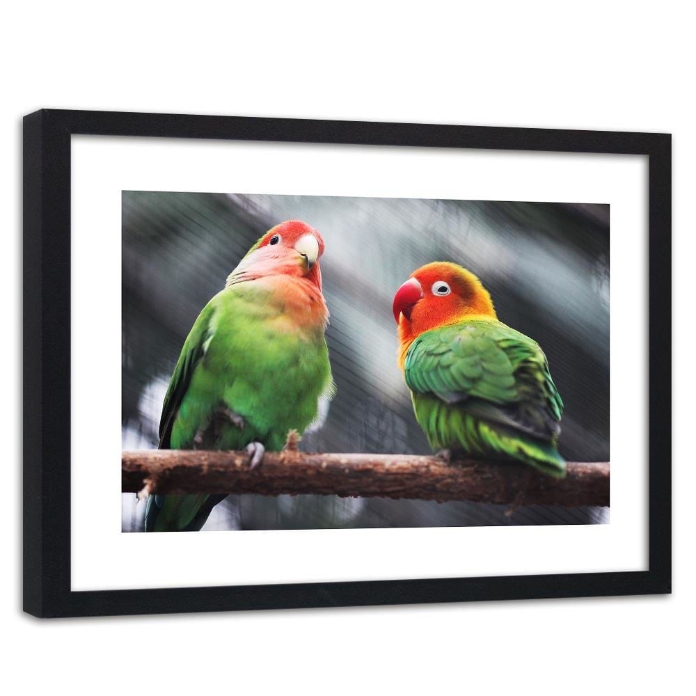 Glezna melnā rāmī - Colorful Parrots Home Trends