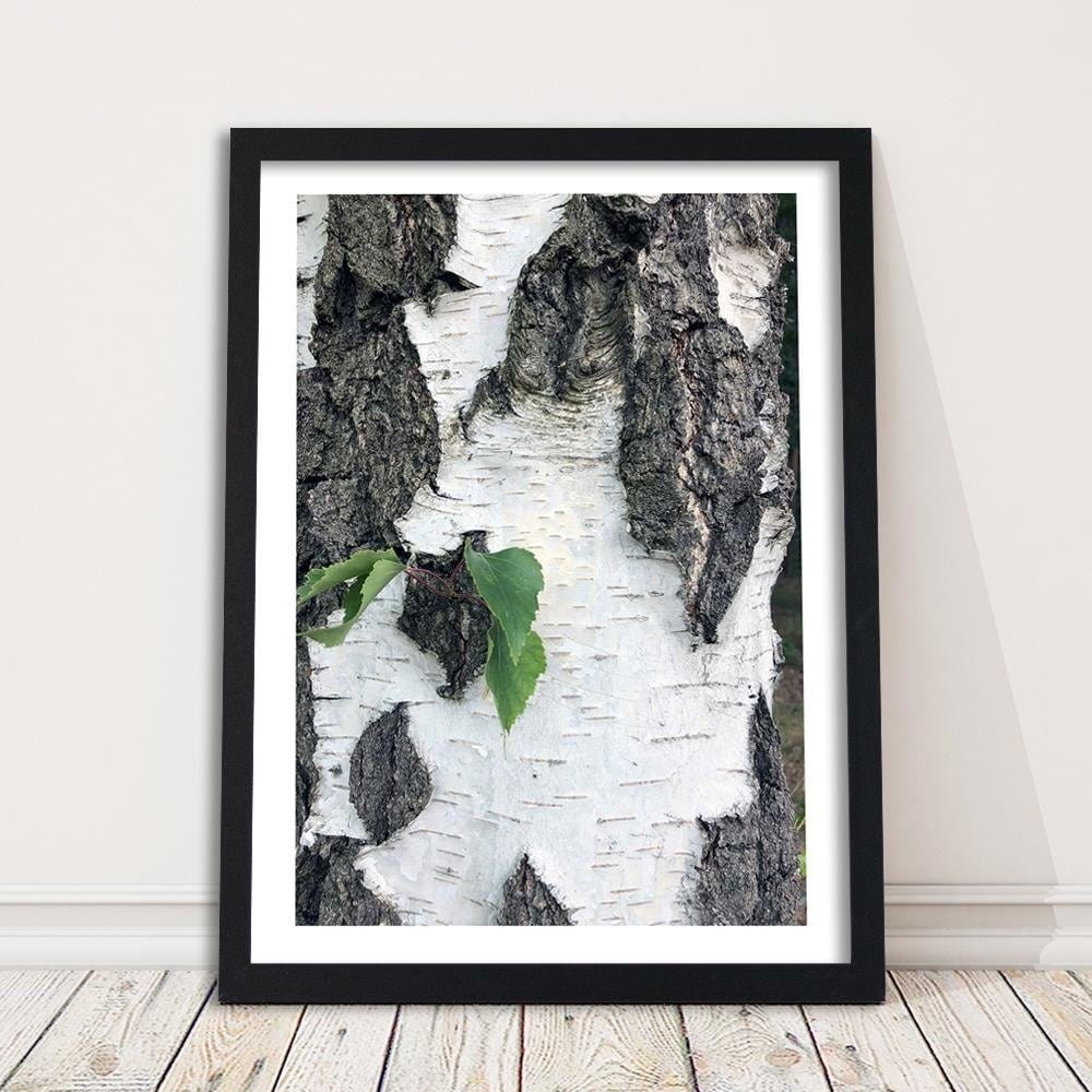 Glezna melnā rāmī - Colors Birch Home Trends