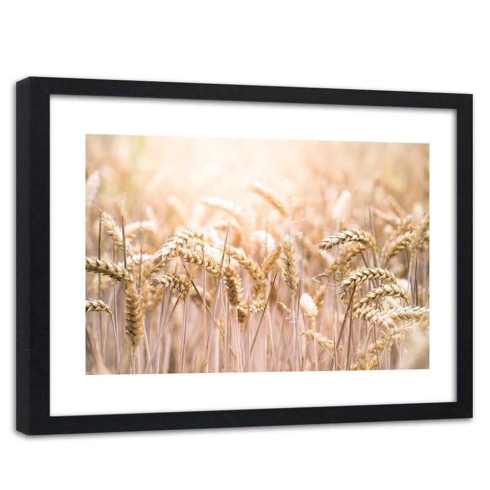 Glezna melnā rāmī - Corn In The Sun 2 Home Trends