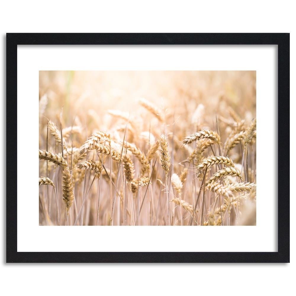 Glezna melnā rāmī - Corn In The Sun 2 Home Trends