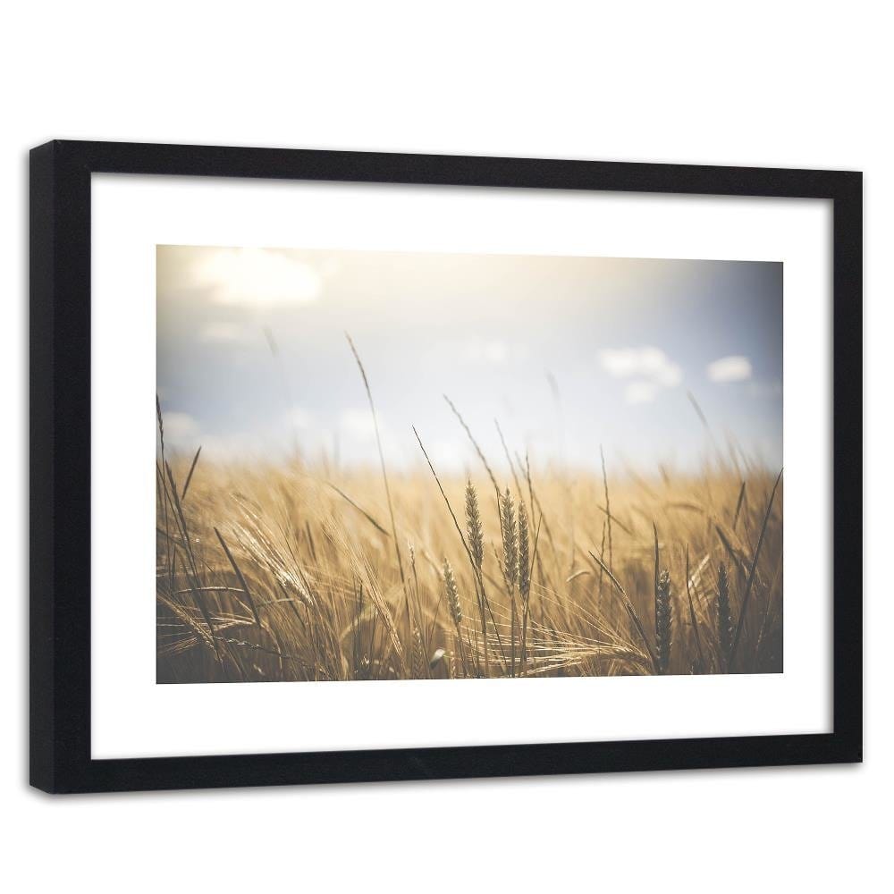 Glezna melnā rāmī - Corn In The Sun 3 Home Trends