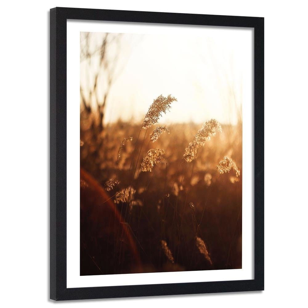 Glezna melnā rāmī - Corn In The Sun Home Trends