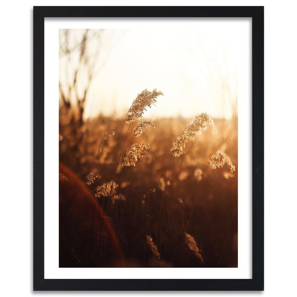 Glezna melnā rāmī - Corn In The Sun Home Trends
