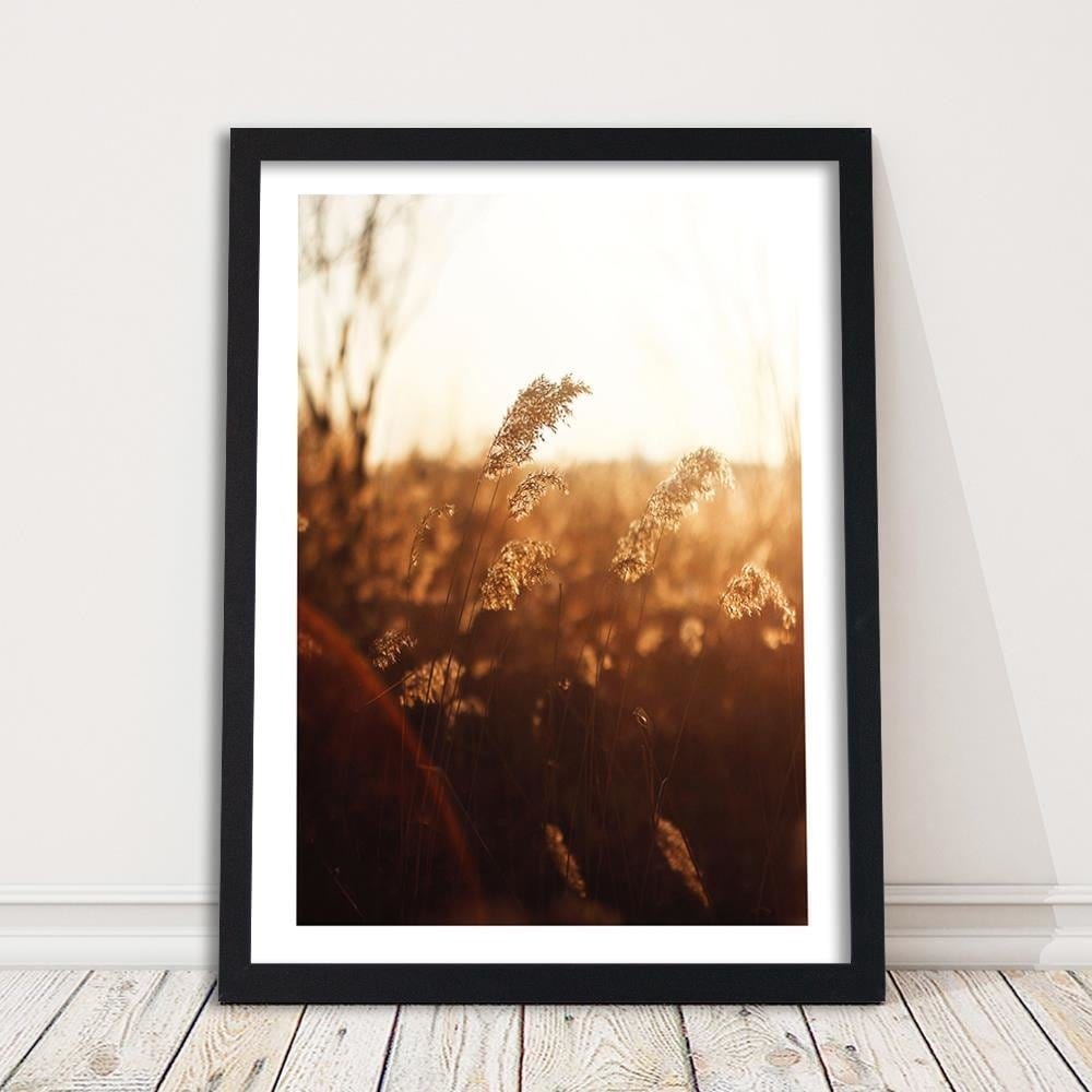 Glezna melnā rāmī - Corn In The Sun Home Trends