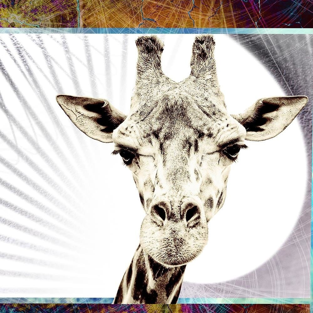 Glezna melnā rāmī - Curious Giraffe Home Trends