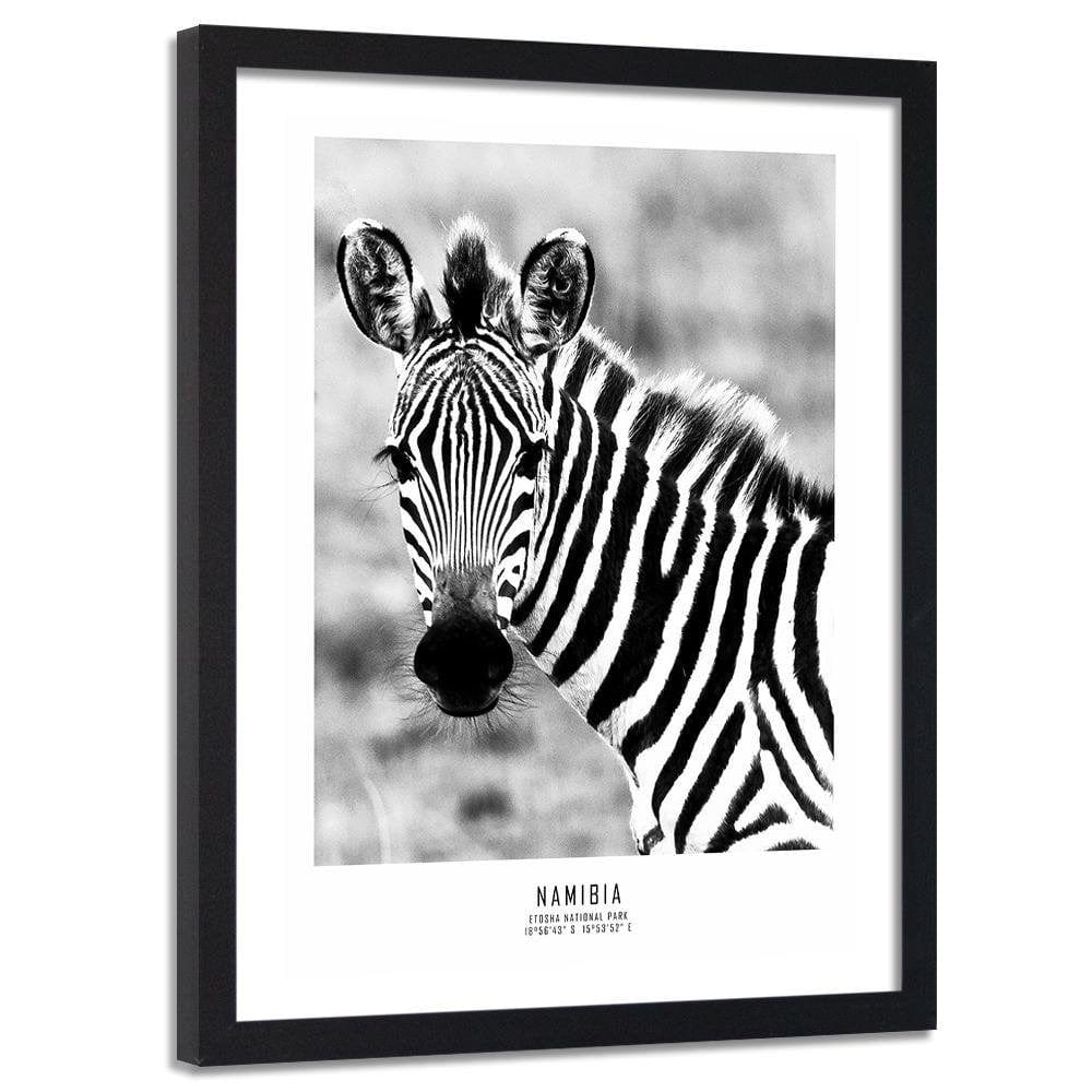 Glezna melnā rāmī - Curious Zebra Home Trends