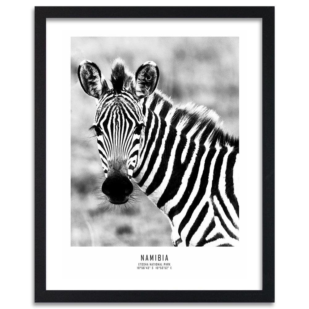 Glezna melnā rāmī - Curious Zebra Home Trends