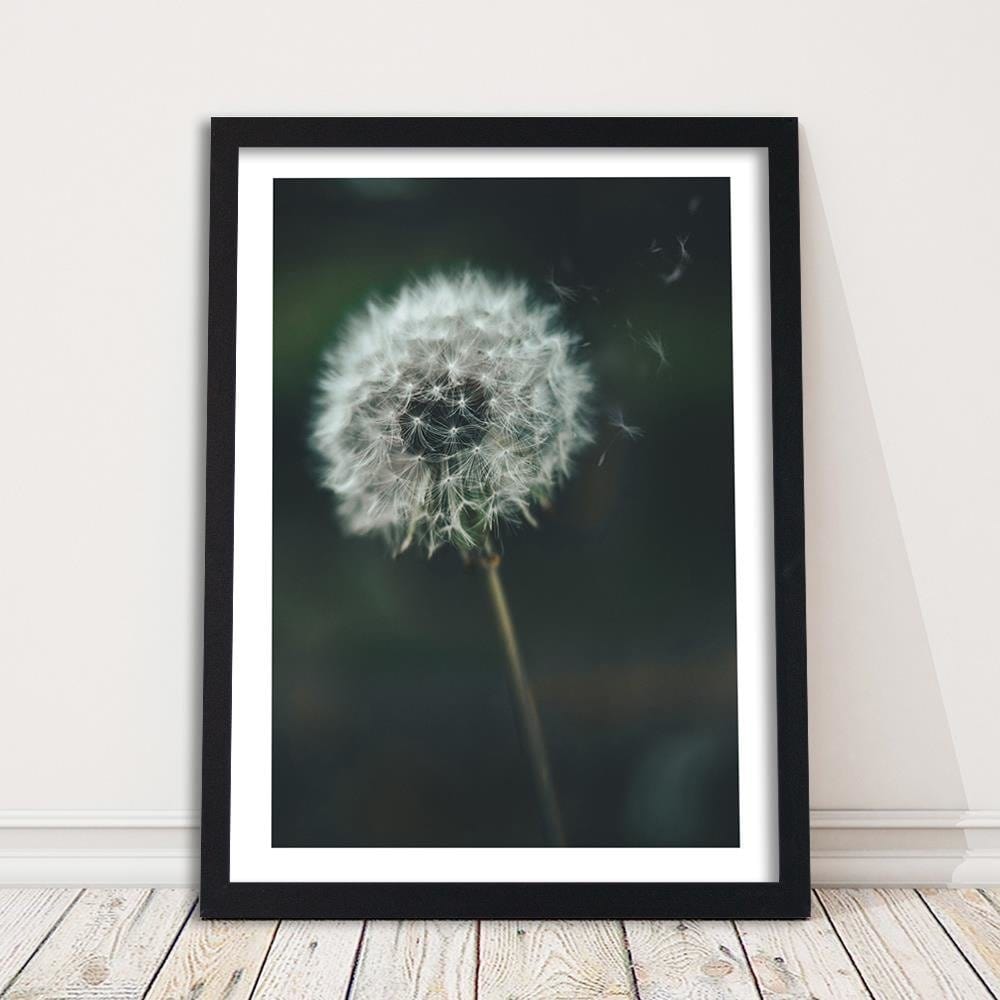 Glezna melnā rāmī - Dandelion Home Trends