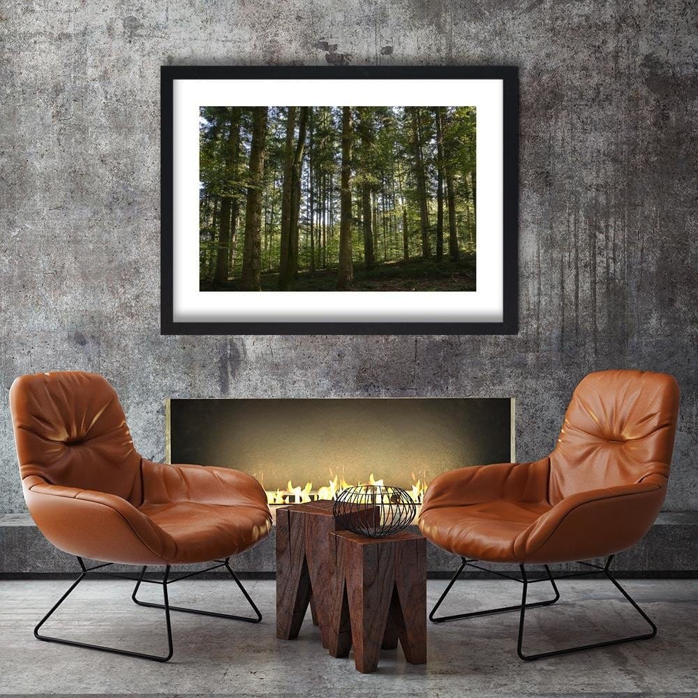 Glezna melnā rāmī - Dark Forest On A Sunny Day Home Trends