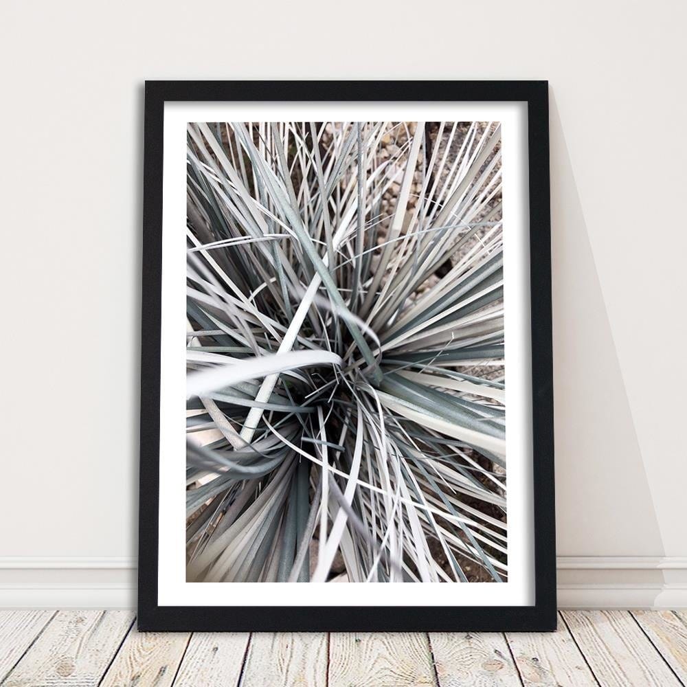 Glezna melnā rāmī - Decorative Grass Home Trends