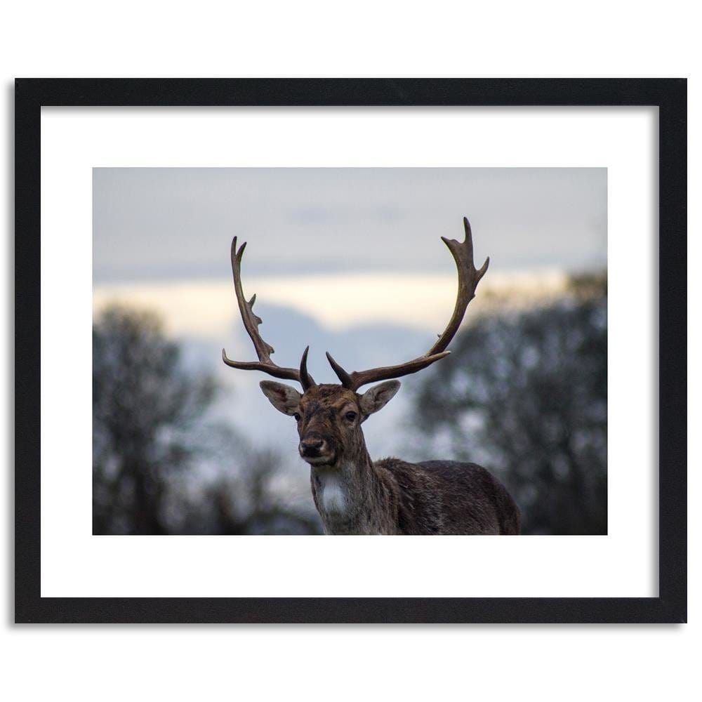 Glezna melnā rāmī - Deer Home Trends