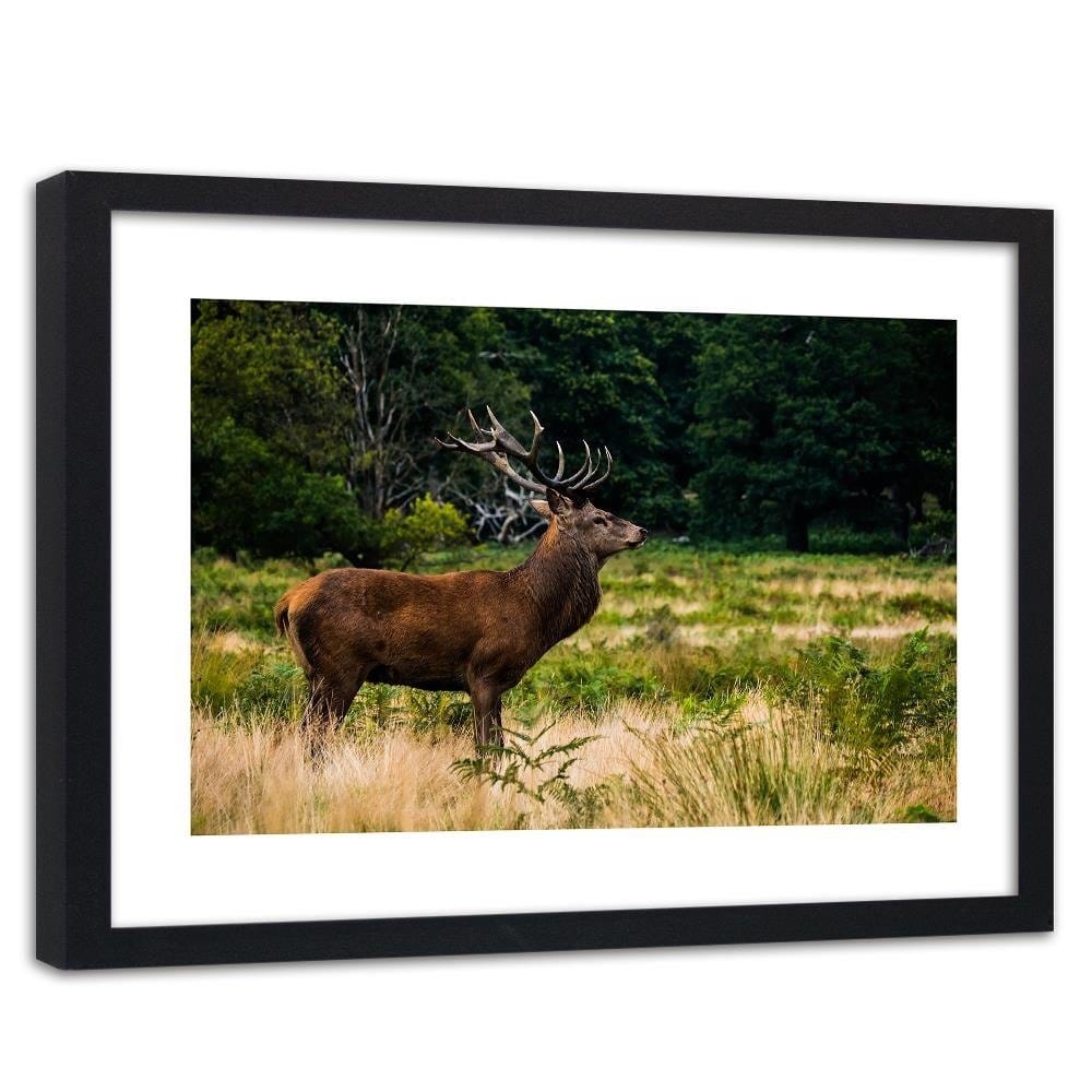 Glezna melnā rāmī - Deer In Rut Home Trends