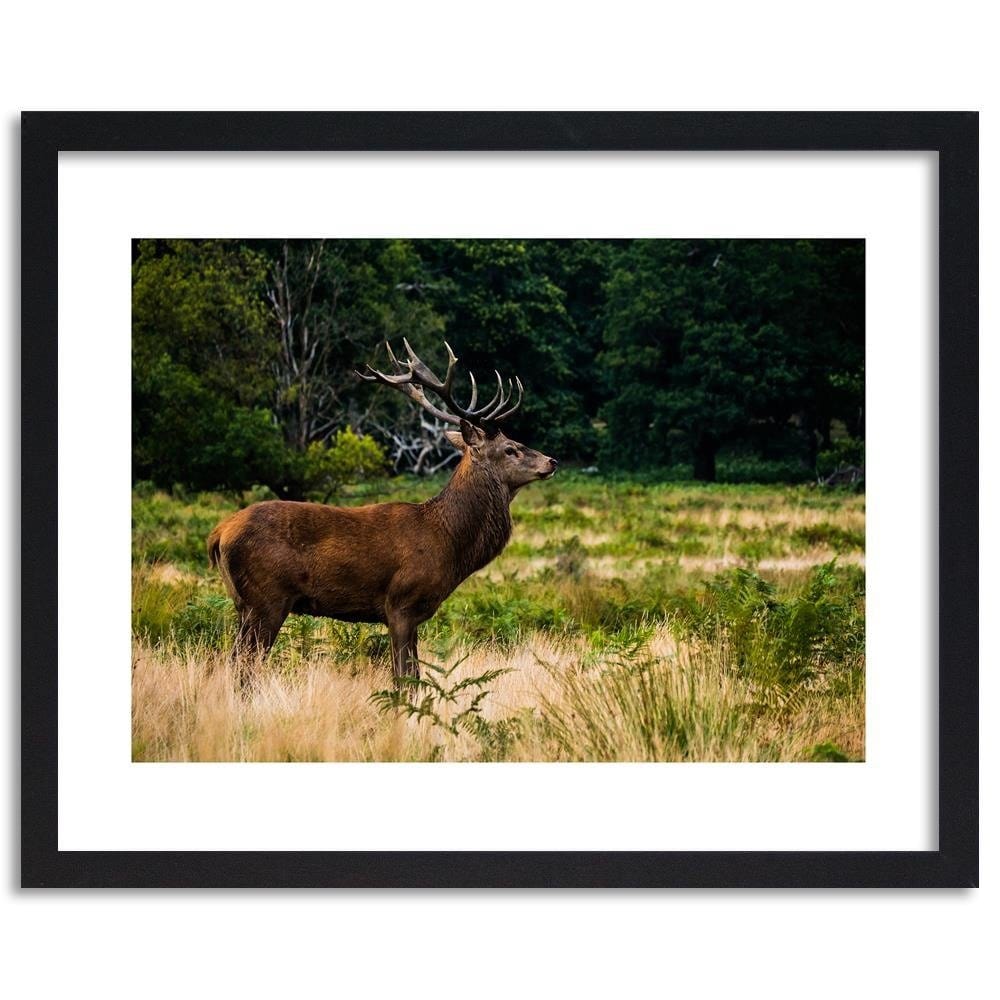Glezna melnā rāmī - Deer In Rut Home Trends