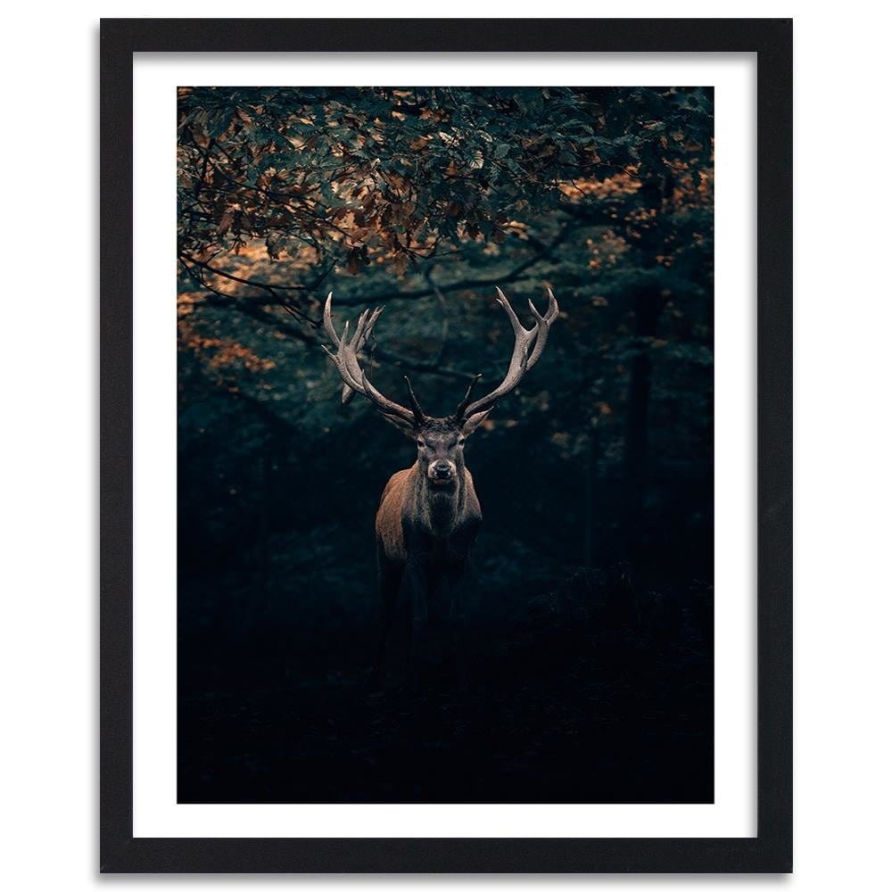 Glezna melnā rāmī - Deer In The Bushes Home Trends