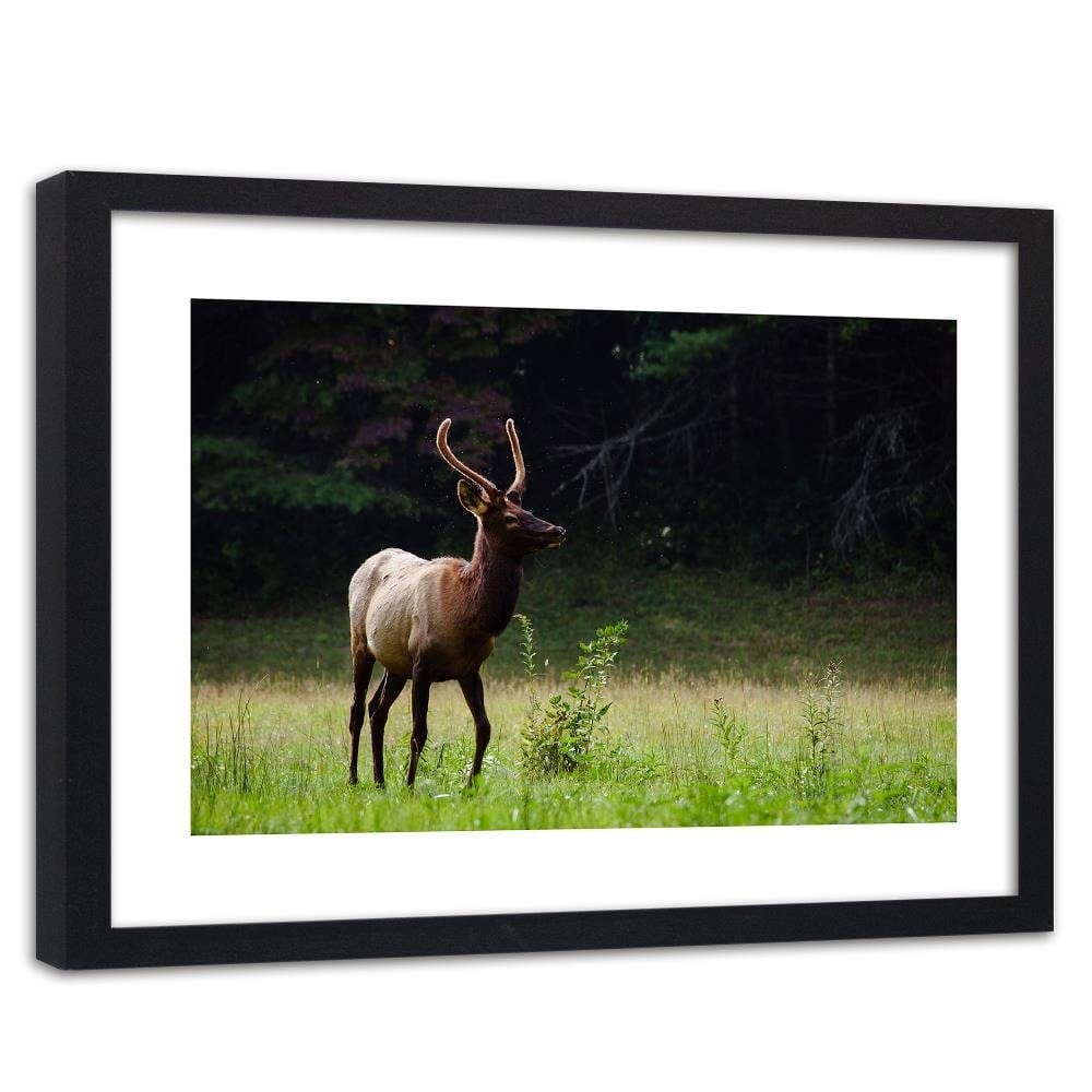Glezna melnā rāmī - Deer In The Meadow Home Trends