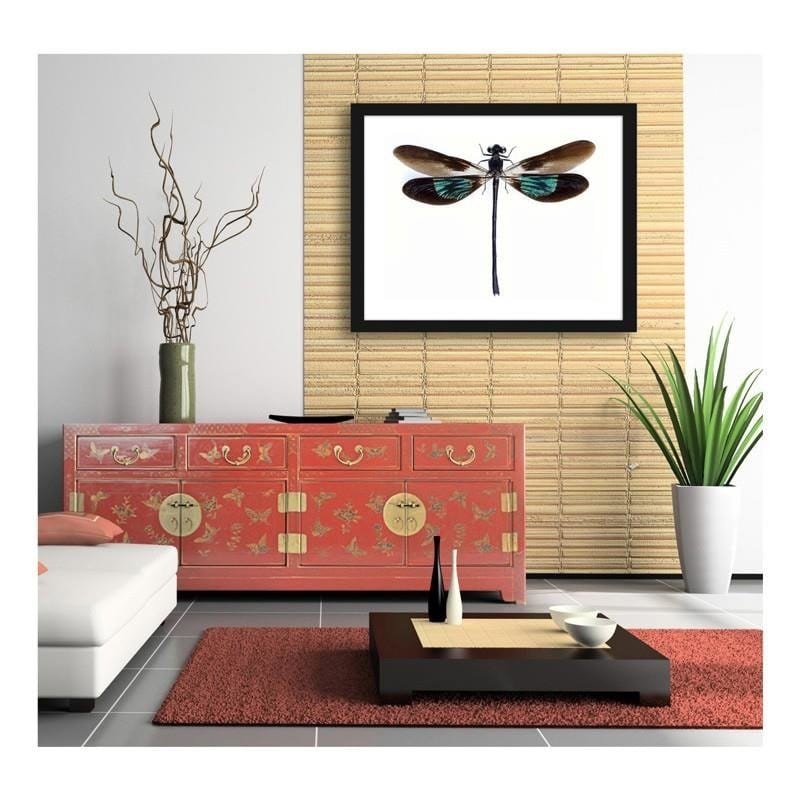 Glezna melnā rāmī - Dragonfly Home Trends