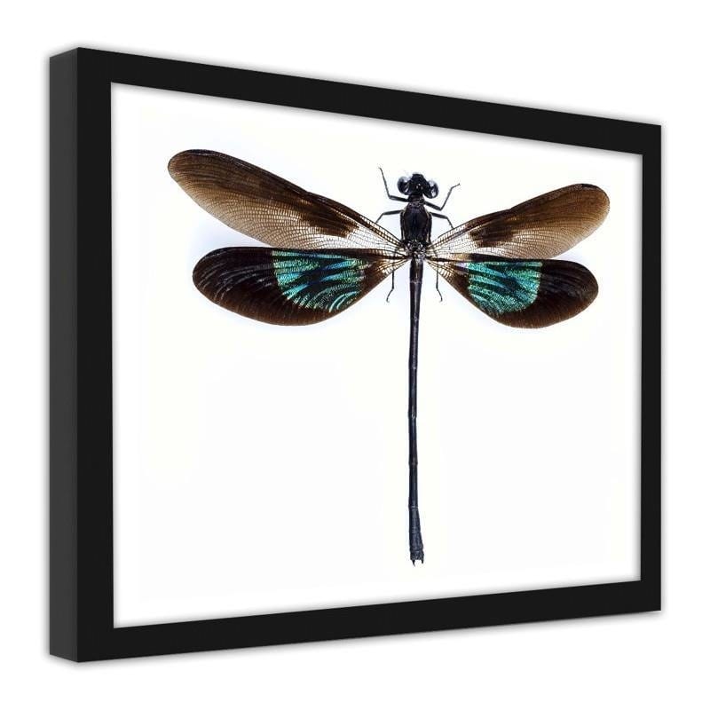 Glezna melnā rāmī - Dragonfly Home Trends