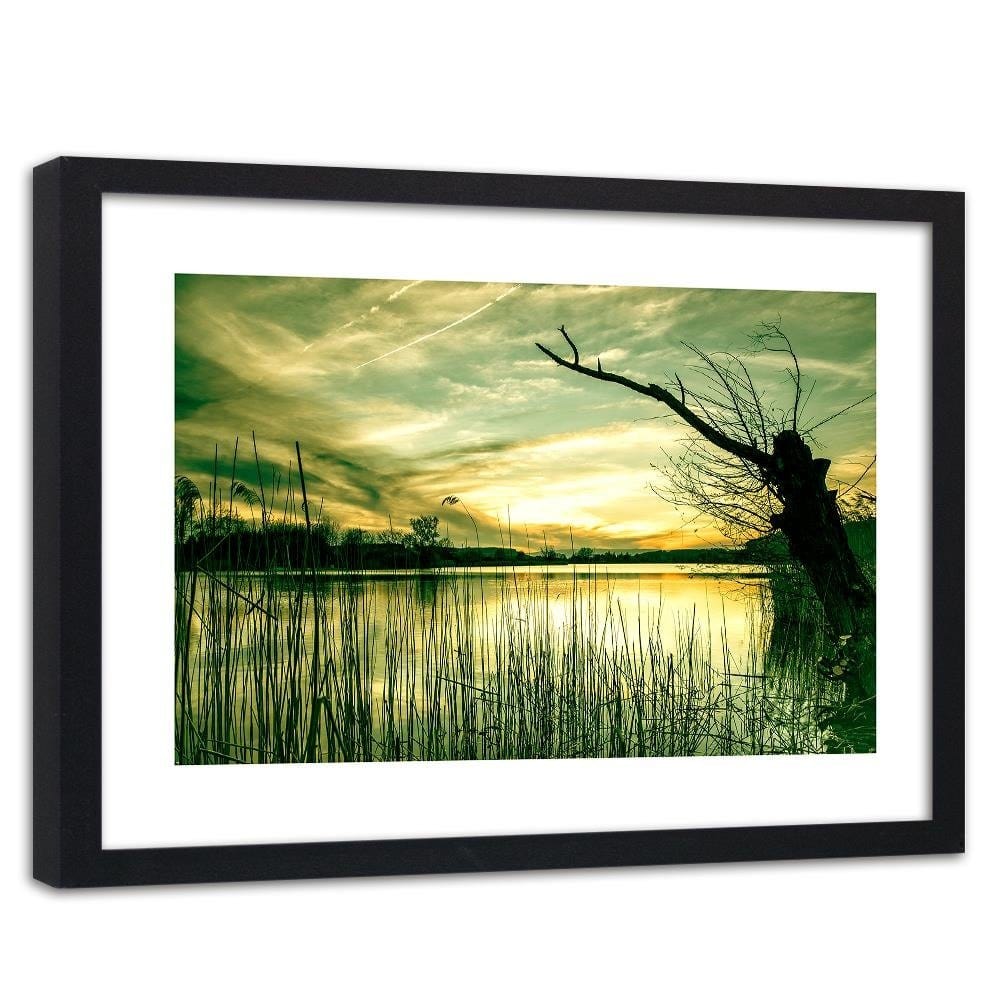 Glezna melnā rāmī - Dry Tree On The Lake Home Trends