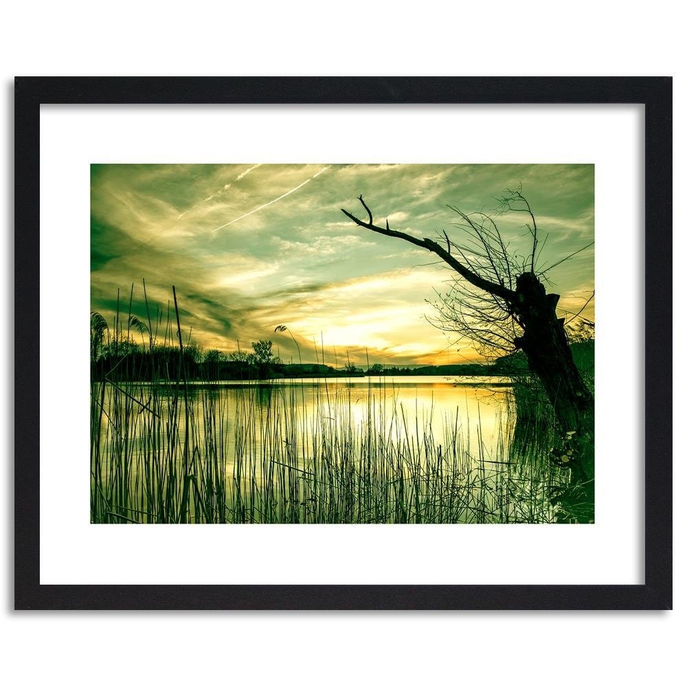 Glezna melnā rāmī - Dry Tree On The Lake Home Trends